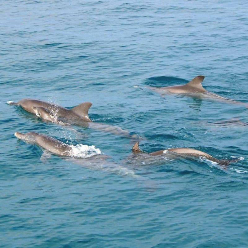 Maiton Island